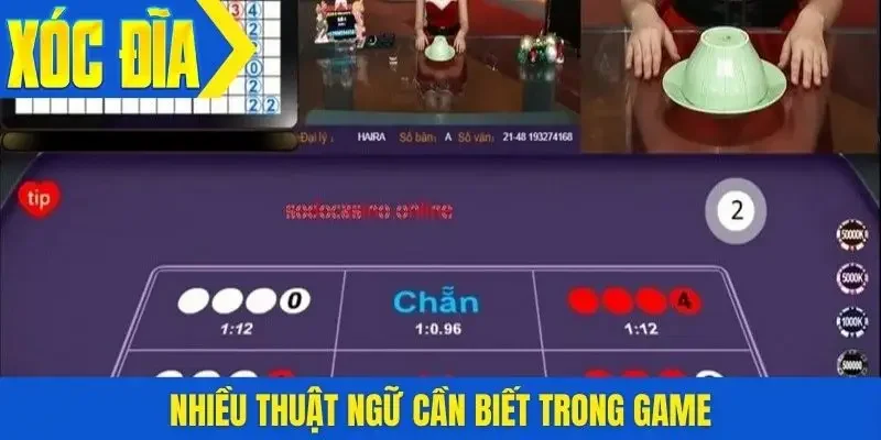 Nhiều thuật ngữ cần biết trong game